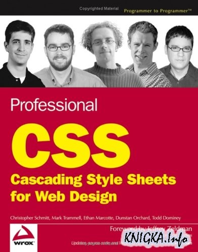 Professional CSS Cascading Style Sheets for Web Design