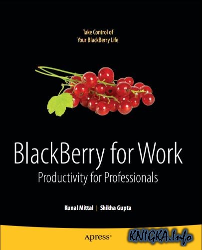 BlackBerry for Work Productivity for Professionals