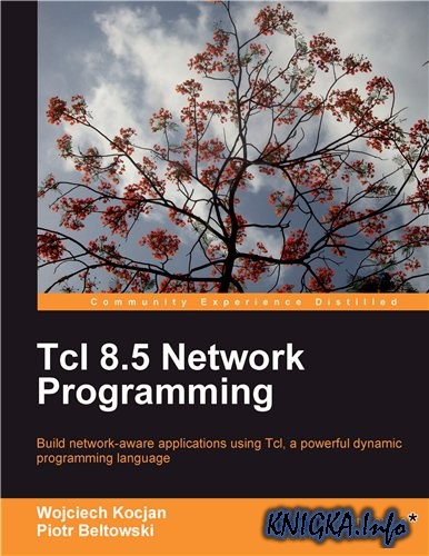 Tcl 8.5 Network Programming
