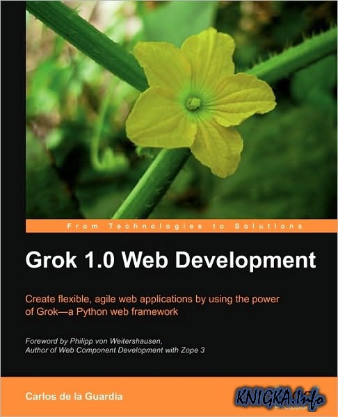 Grok 1.0 Web Development