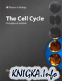 The Cell Cycle. Principles of Control