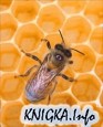 Библиотека по пчеловодству, апитерапии и медовой кулинарии