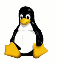 Linux-сервер-пошаговые инструкции инсталяции и настройки