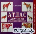 Атлас анатомии домашних животных