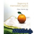 beginning & intermediate algebra 4th