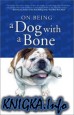 On Being A Dog With A Bone