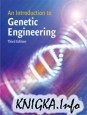 An Introduction to Genetic Engineering