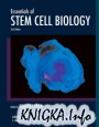 Essentials of Stem Cell Biology (2nd ed.)