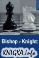 Bishop versus Knight, The Verdict