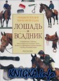 Лошадь и всадник. Энциклопедия верховой езды