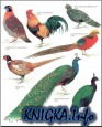 Longman\'s Illustrated Animal Encyclopedia - Птицы