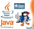 Мультимедийные Обучающие Курсы TeachPro Java
