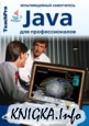 Программирование. Java для профессионалов. Мультимедийный курс