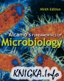 Alcamo\'s Fundamentals of Microbiology